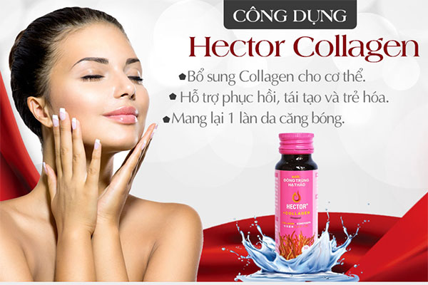 hector-collagen hector-collagen