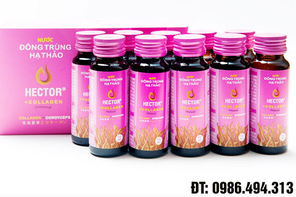 hector collagen là gì