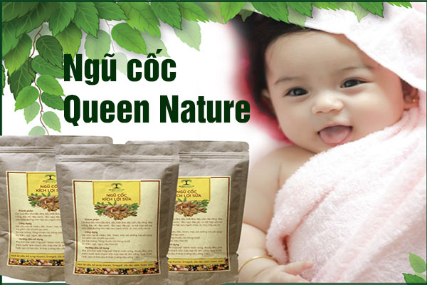 ngũ cốc lợi sữa Queen Nature ngũ cốc lợi sữa Queen Nature