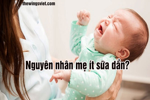 nguyên nhân mẹ ít sữa dần nguyên nhân mẹ ít sữa dần
