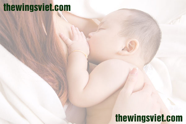 queen-nature queen-nature