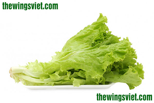 rau xà lách