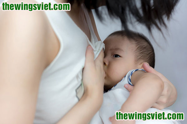 Giải đáp về ngũ cốc siêu lợi sữa Bà An 