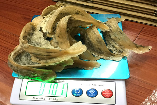hồng yến hồng yến
