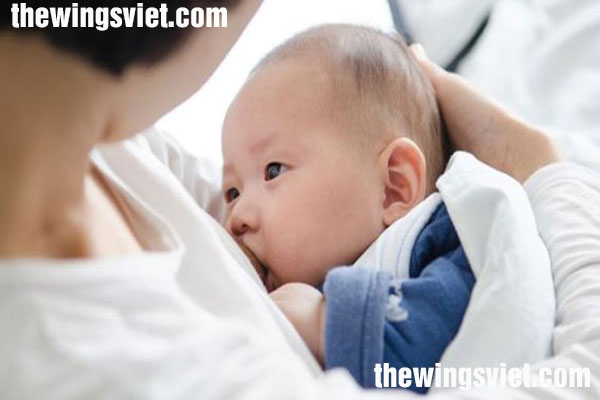 sữa về nhiều căng tức phải làm sao sữa về nhiều căng tức phải làm sao