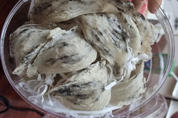 tâm sự người bán yến sào