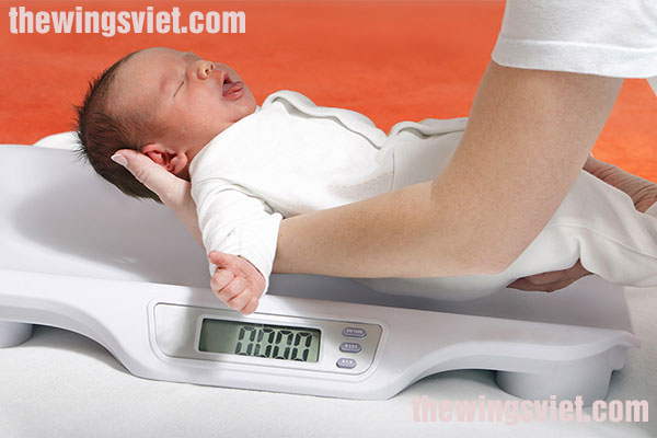 trẻ bú sữa mẹ hoàn toàn vẫn chậm tăng cân trẻ bú sữa mẹ hoàn toàn vẫn chậm tăng cân