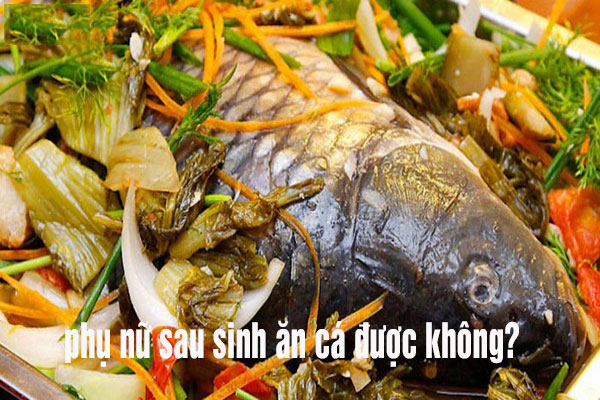 bà đẻ ăn cá được không bà đẻ ăn cá được không