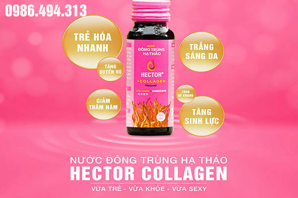 đông trùng hạ thảo đông trùng hạ thảo