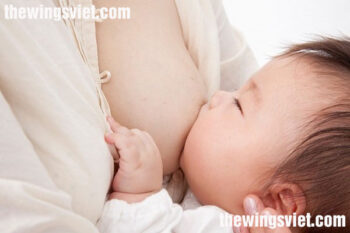 Nên cho trẻ bú sữa mẹ hoàn toàn tới khi nào?