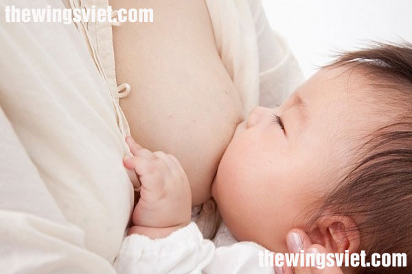 Nên cho trẻ bú sữa mẹ hoàn toàn tới khi nào?