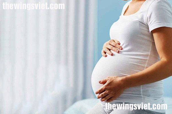 ngũ cốc cho bà bầu 3 tháng cuối ngũ cốc cho bà bầu 3 tháng cuối