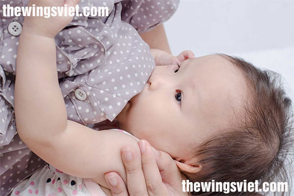 nuôi con bằng sữa mẹ đúng cách