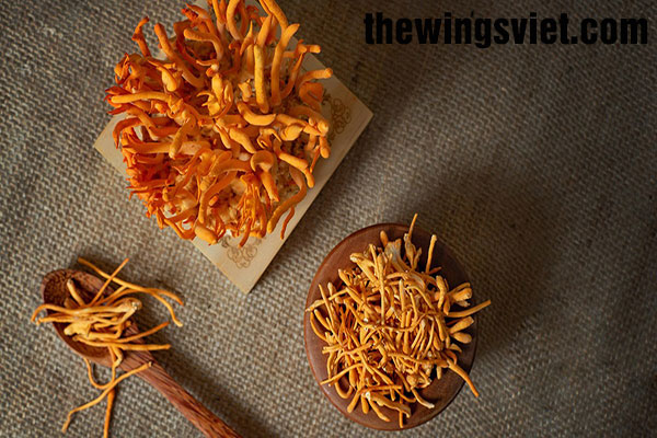 mua đông trùng hạ thảo ở cần thơ