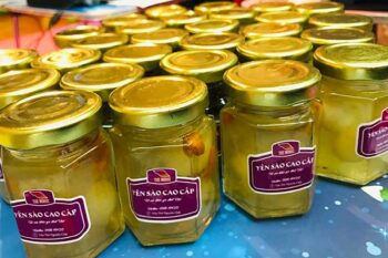 chưng yến bao lâu