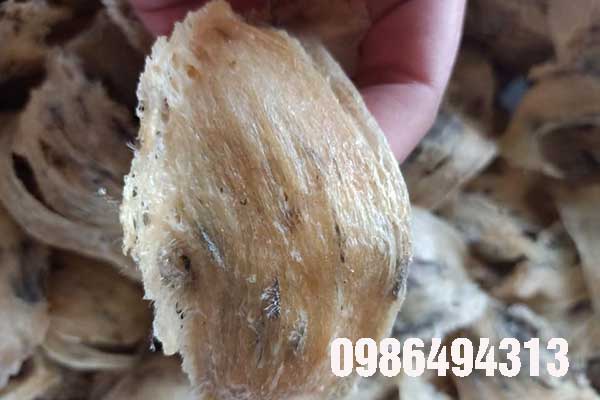 Công Dụng Thần Kỳ Của Yến Sào Công Dụng Thần Kỳ Của Yến Sào