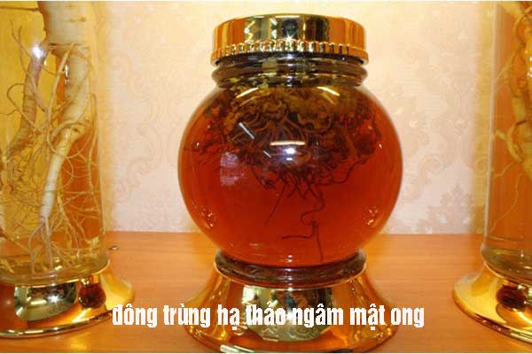 Đông Trùng Hạ Thảo Ngâm Mật Ong Đông Trùng Hạ Thảo Ngâm Mật Ong