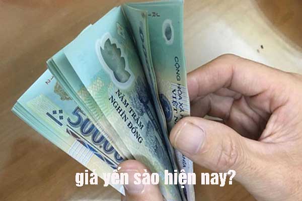 giá yến sào giá yến sào