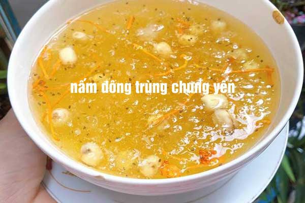 món nấm đông trùng hạ thảo chưng yến món nấm đông trùng hạ thảo chưng yến