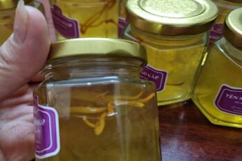 nấm đông trùng hạ thảo chưng yến