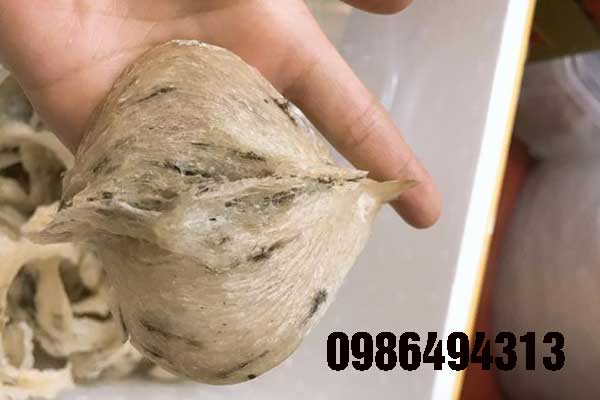 yến sào tại hải phòng