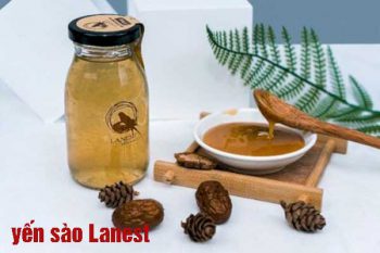 yến sào Lanest có tốt không