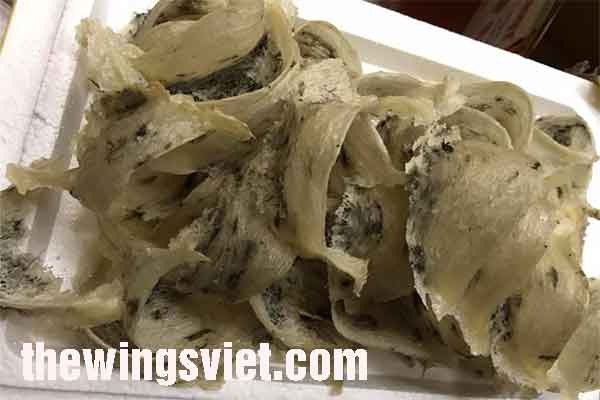 yến sào thewings tại mỹ