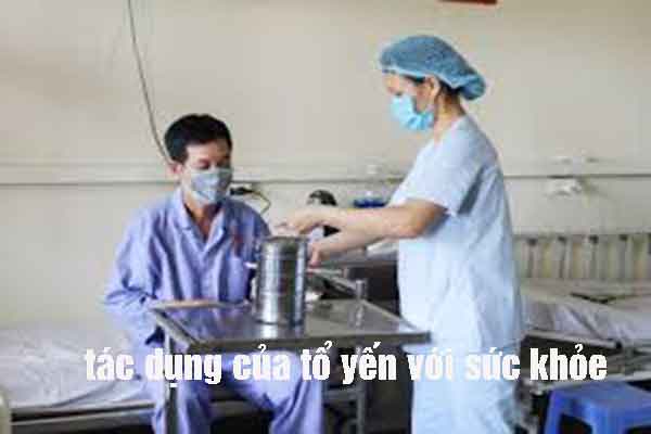 tác dụng của tổ yến với sức khỏe tác dụng của tổ yến với sức khỏe