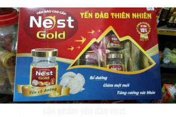 yến đảo nest
