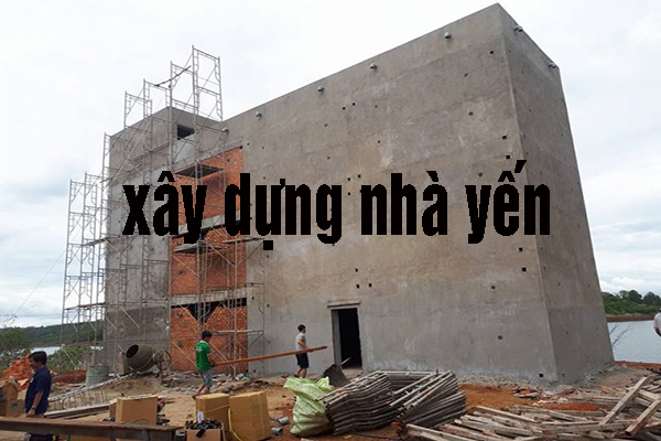 nhà nuôi yến nhà nuôi yến
