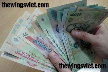 chi phí tổ yến thô