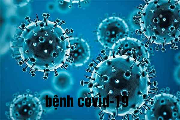 covid covid