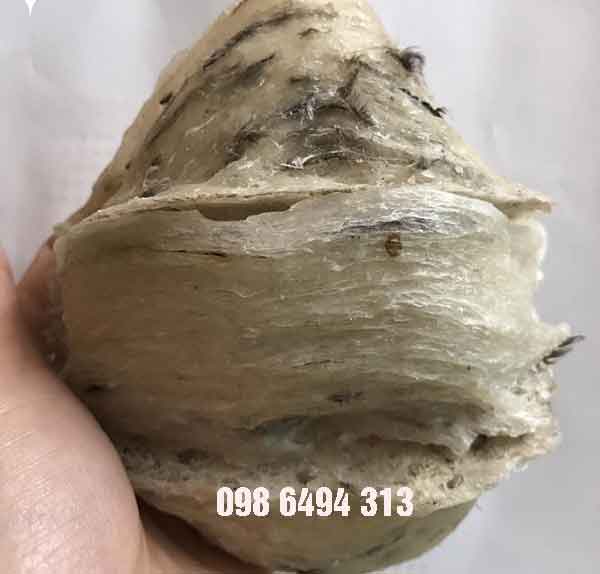 yến sào thô loại 1 yến sào thô loại 1