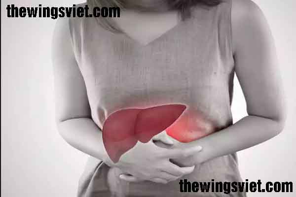 Người bị bệnh gan có ăn được tổ yến không Người bị bệnh gan có ăn được tổ yến không