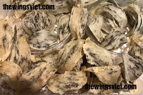 tổ yến thô loại 3 tổ yến thô loại 3