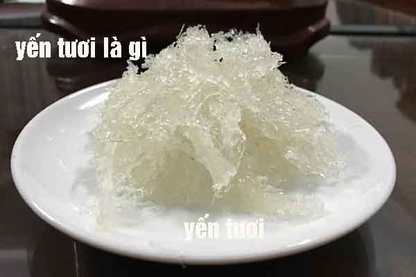 yến tươi là gì yến tươi là gì