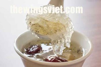 ăn yến sào nhiều có tốt không