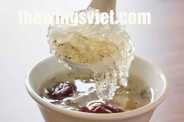 ăn yến sào nhiều có tốt không ăn yến sào nhiều có tốt không