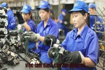 đơn hàng xuất khẩu lao động nhật bản cho nữ