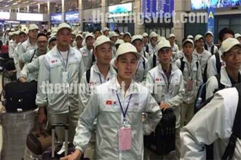 Độ tuổi xuất khẩu Nhật Bản theo quy định