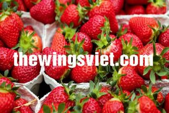 Phụ nữ sau sinh có được ăn dâu tây không