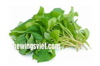 Bà đẻ có ăn được rau diếp cá không