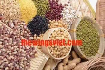 Ngũ cốc dinh dưỡng cho người bệnh