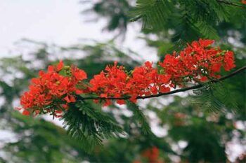 Caption mùa hè hài hước