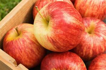 Bà đẻ ăn táo được không